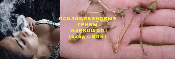 MDMA Протвино