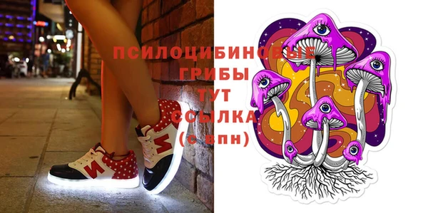 стаф Абинск