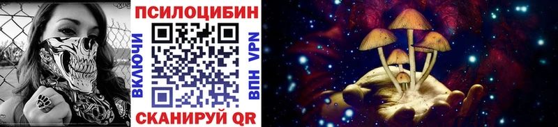 наркошоп  Жердевка  Псилоцибиновые грибы ЛСД 